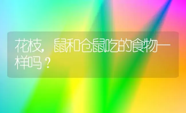 巴西龟亲近人的表现？ | 动物养殖问答