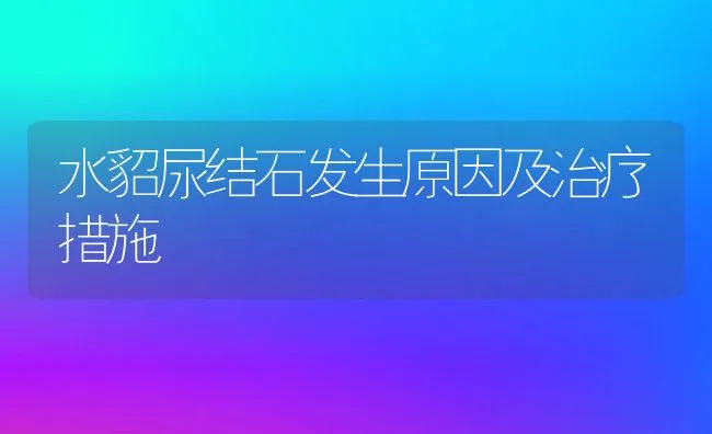 水貂尿结石发生原因及治疗措施 | 动物养殖学堂