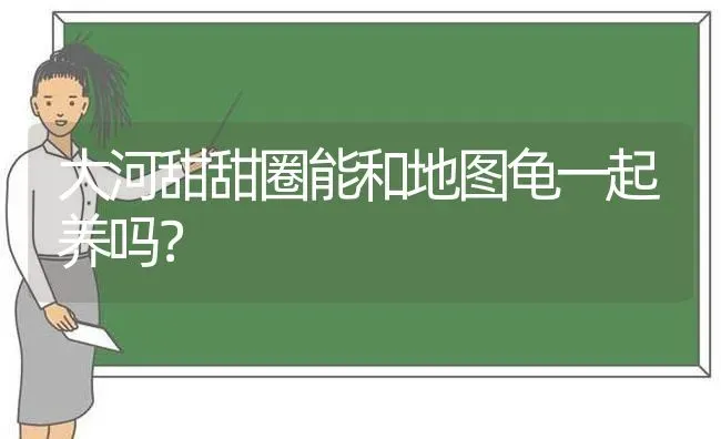 大河甜甜圈能和地图龟一起养吗？ | 动物养殖问答