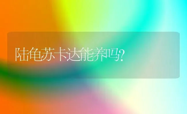 陆龟苏卡达能养吗？ | 动物养殖问答