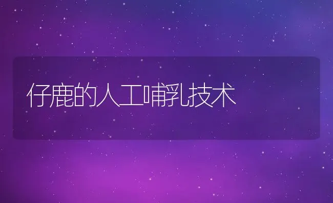 公猪站公猪管理规范 | 动物养殖学堂