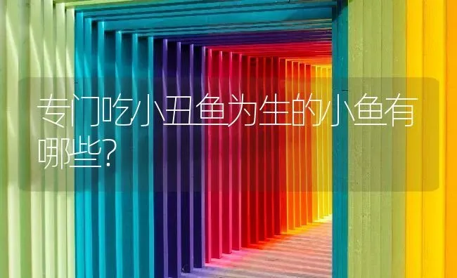 专门吃小丑鱼为生的小鱼有哪些？ | 鱼类宠物饲养