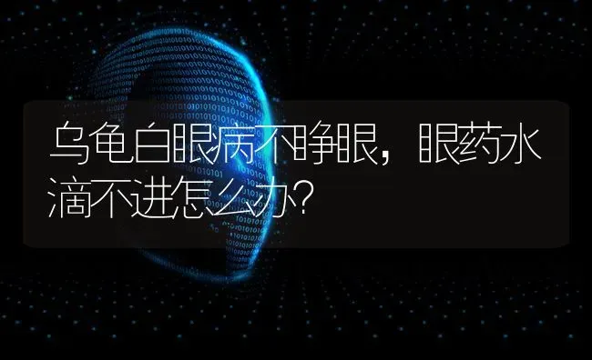 乌龟白眼病不睁眼，眼药水滴不进怎么办？ | 动物养殖问答