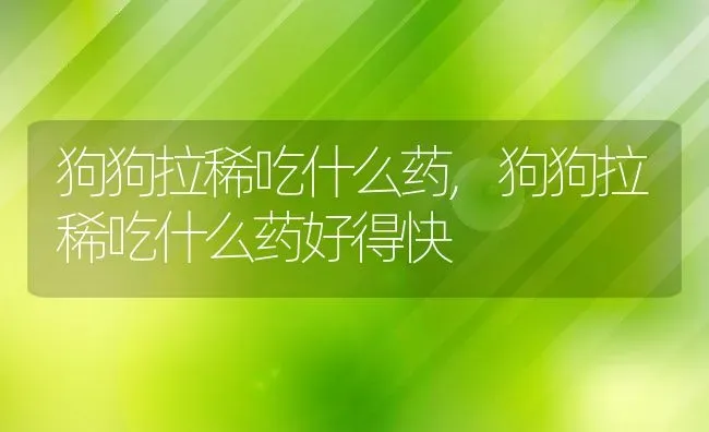 狗狗拉稀吃什么药,狗狗拉稀吃什么药好得快 | 宠物百科知识