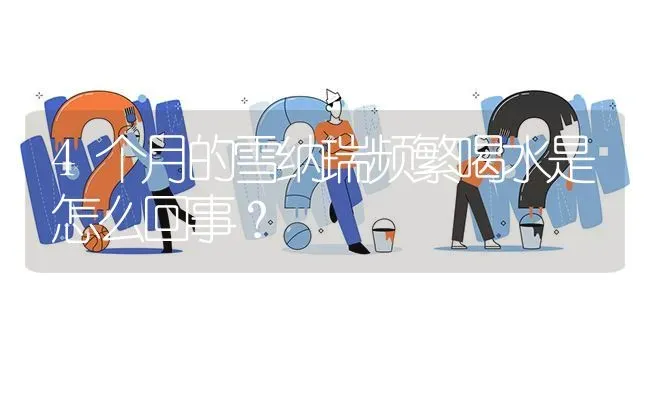 4个月的雪纳瑞频繁喝水是怎么回事？ | 动物养殖问答