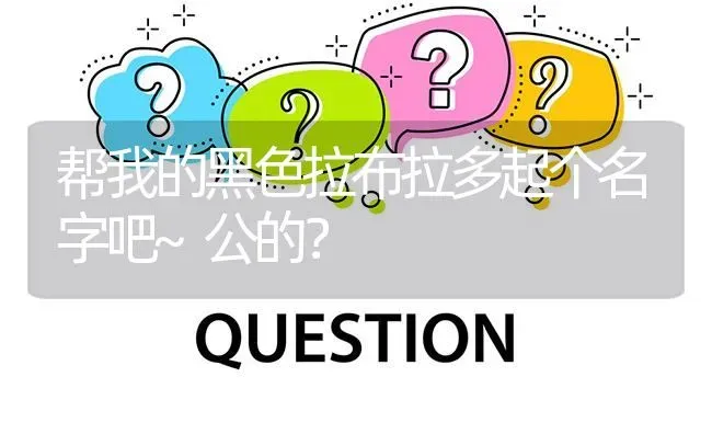 帮我的黑色拉布拉多起个名字吧~公的？ | 动物养殖问答