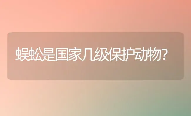 聪明的一休中那个悬挂在房梁上的小白布偶叫什么名字？ | 动物养殖问答