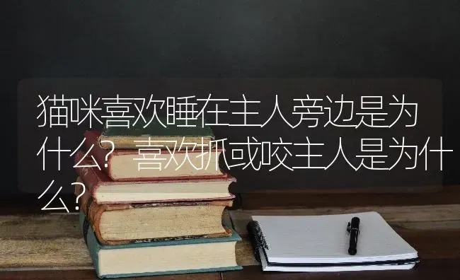 猫咪喜欢睡在主人旁边是为什么?喜欢抓或咬主人是为什么？ | 动物养殖问答