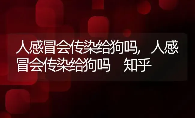 人感冒会传染给狗吗,人感冒会传染给狗吗 知乎 | 宠物百科知识