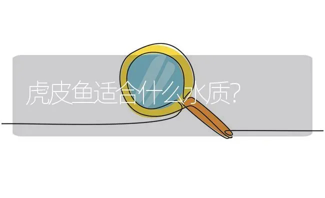 虎皮鱼适合什么水质？ | 鱼类宠物饲养