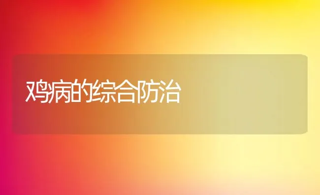 鸡病的综合防治 | 动物养殖学堂