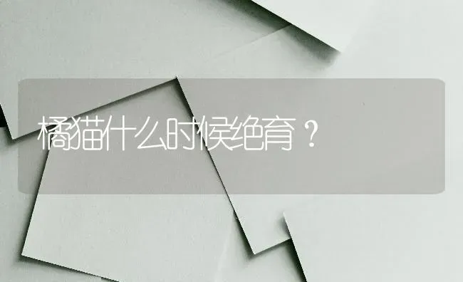 橘猫什么时候绝育？ | 动物养殖问答