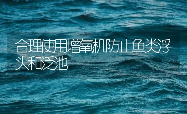 合理使用增氧机防止鱼类浮头和泛池 | 海水养殖技术