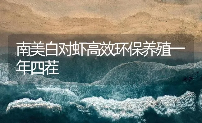 南美白对虾高效环保养殖一年四茬 | 海水养殖技术