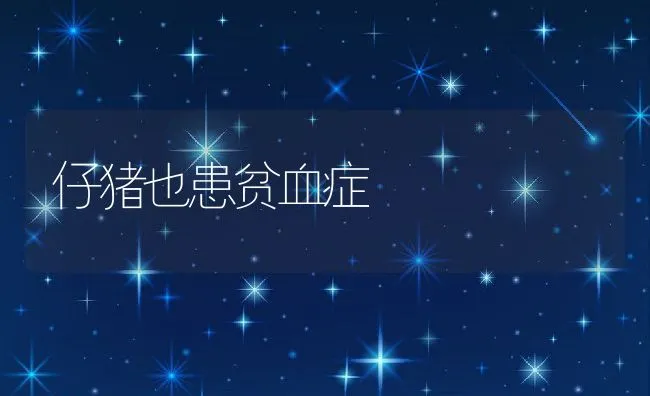 工厂化井盐水养殖大菱鲆常见病害及其防治 | 动物养殖学堂