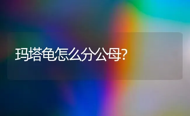 狗狗体外驱虫后几天可以体内驱虫？ | 动物养殖问答