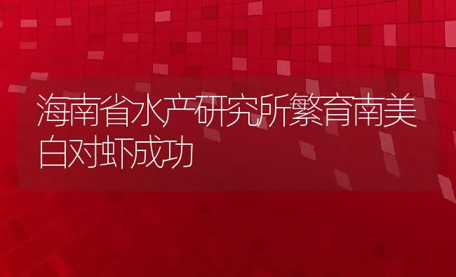 海南省水产研究所繁育南美白对虾成功 | 动物养殖饲料