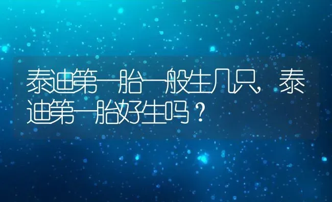 泰迪第一胎一般生几只,泰迪第一胎好生吗？ | 宠物百科知识