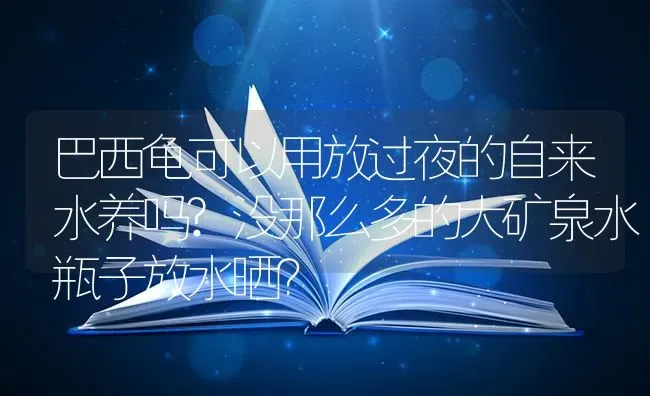 巴西龟可以用放过夜的自来水养吗?没那么多的大矿泉水瓶子放水晒？ | 动物养殖问答