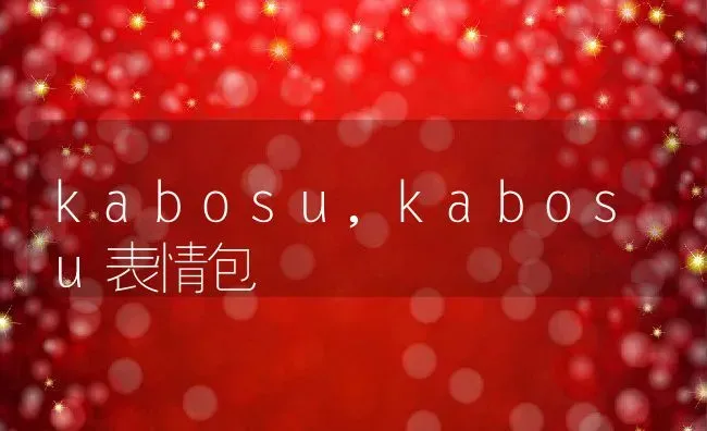 kabosu,kabosu表情包 | 宠物百科知识