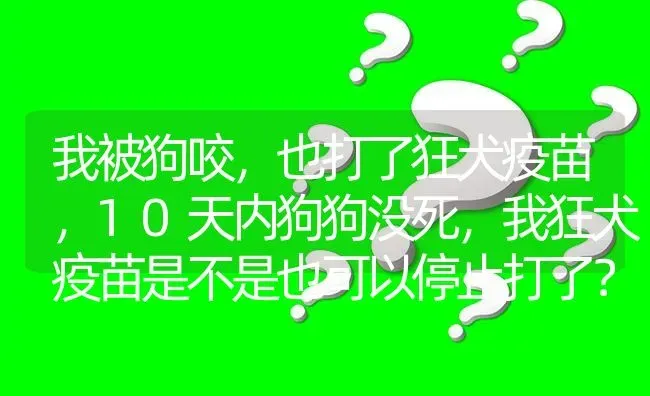 我被狗咬，也打了狂犬疫苗，10天内狗狗没死，我狂犬疫苗是不是也可以停止打了？ | 动物养殖问答