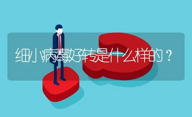 细小病毒好转是什么样的？ | 动物养殖问答