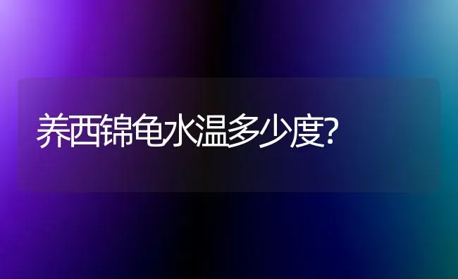 养西锦龟水温多少度？ | 动物养殖问答