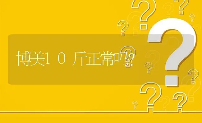 博美10斤正常吗？ | 动物养殖问答