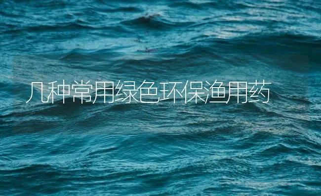 几种常用绿色环保渔用药 | 海水养殖技术