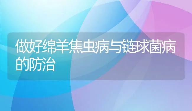 秋季鳜鱼养殖管理技术措施介绍 | 海水养殖技术