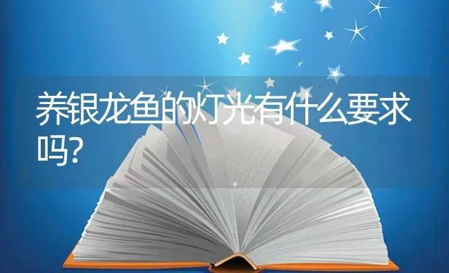 养银龙鱼的灯光有什么要求吗？ | 鱼类宠物饲养