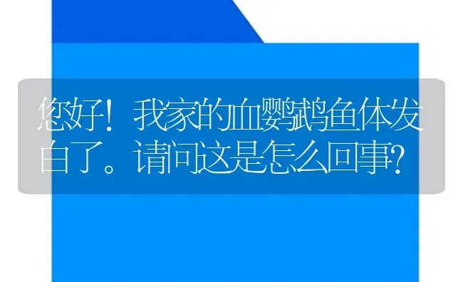 您好！我家的血鹦鹉鱼体发白了。请问这是怎么回事？ | 鱼类宠物饲养