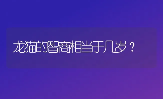 龙猫的智商相当于几岁？ | 动物养殖问答