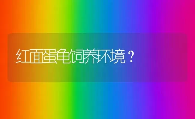 红面蛋龟饲养环境？ | 动物养殖问答