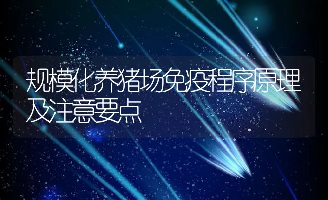 规模化养猪场免疫程序原理及注意要点 | 动物养殖学堂