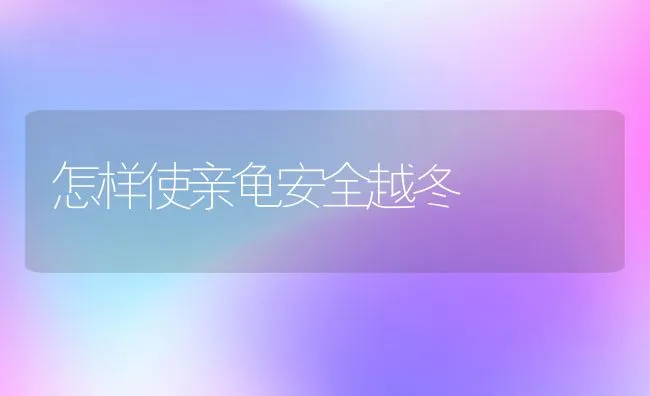 怎样使亲龟安全越冬 | 动物养殖学堂