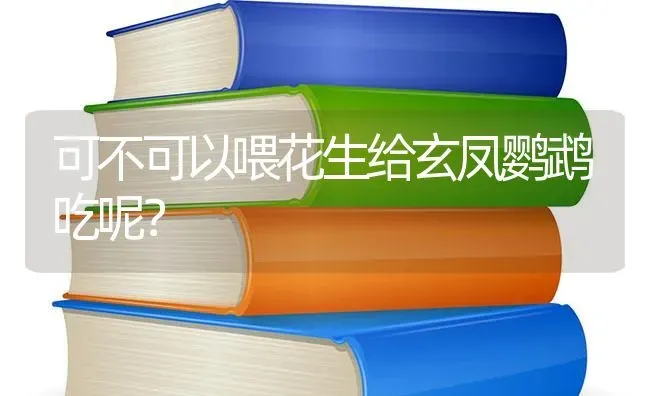 可不可以喂花生给玄凤鹦鹉吃呢？ | 动物养殖问答