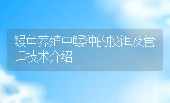 鳗鱼养殖中鳗种的投饵及管理技术介绍 | 动物养殖饲料