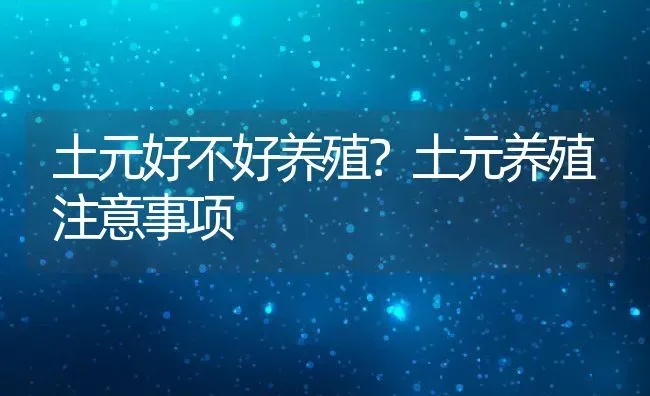 土元好不好养殖？土元养殖注意事项 | 动物养殖百科