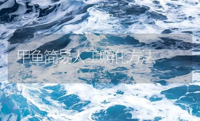 甲鱼简易人工孵化方法 | 海水养殖技术