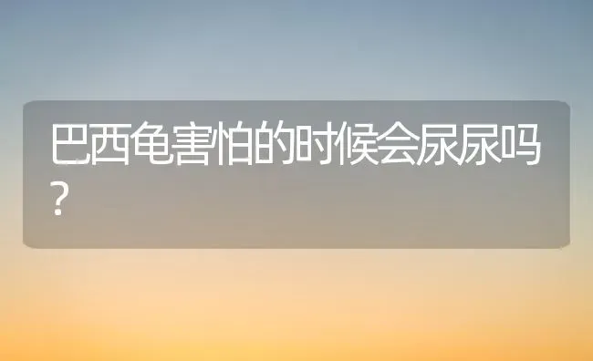 巴西龟害怕的时候会尿尿吗？ | 动物养殖问答