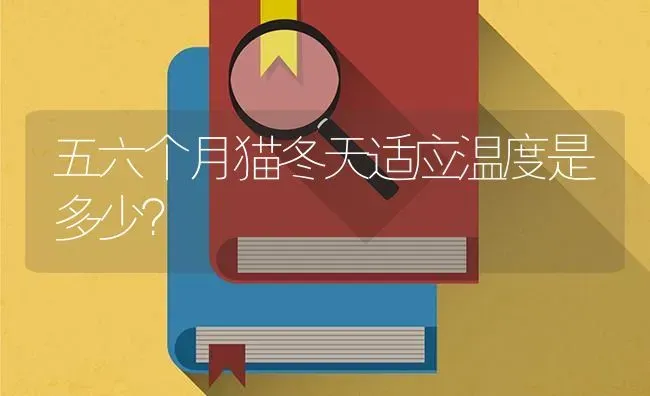 五六个月猫冬天适应温度是多少？ | 动物养殖问答