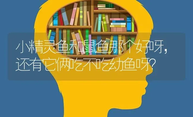 小精灵鱼和鼠鱼那个好呀，还有它俩吃不吃幼鱼呀？ | 鱼类宠物饲养