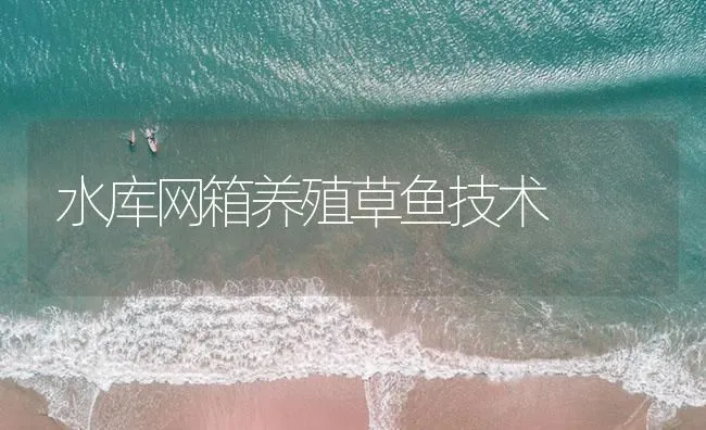 水库网箱养殖草鱼技术 | 海水养殖技术