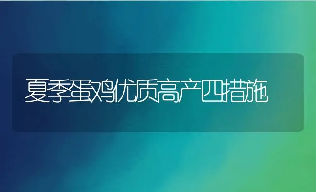 夏季蛋鸡优质高产四措施 | 动物养殖饲料