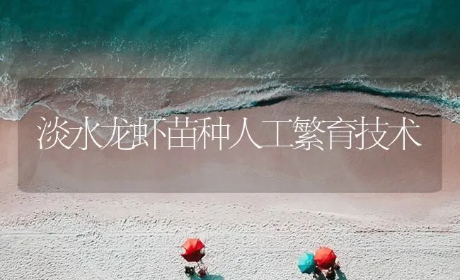 淡水龙虾苗种人工繁育技术 | 海水养殖技术