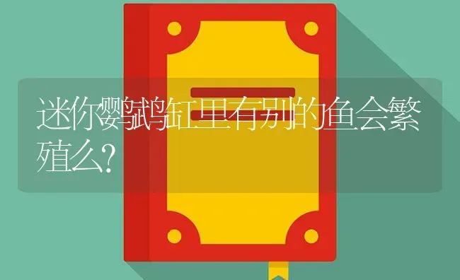 迷你鹦鹉缸里有别的鱼会繁殖么？ | 鱼类宠物饲养