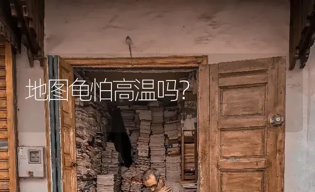 [求助]中华草龟可以陆养么？ | 动物养殖问答