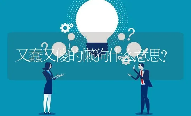 又蠢又傻的懒狗什么意思？ | 动物养殖问答