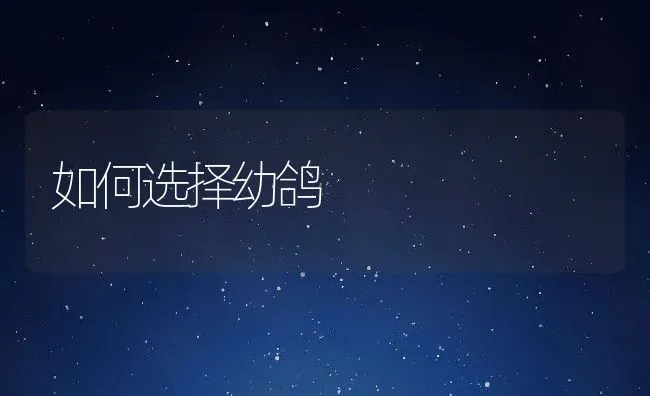 软腐病防治方法 | 动物养殖学堂